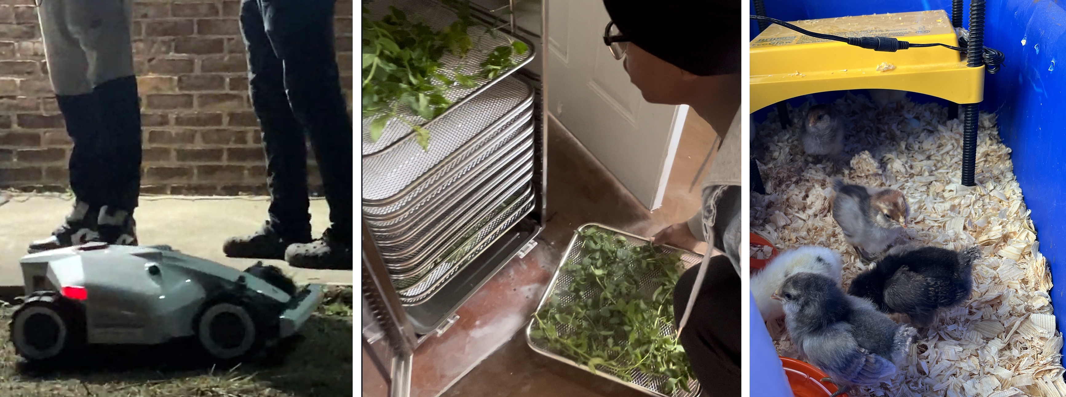 rescue nature now farm2